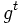 g^t